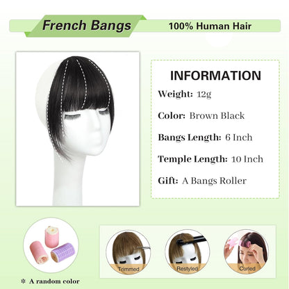 Clip-In Wispy Bangs