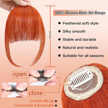 Clip-In Wispy Bangs