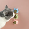 Load image into Gallery viewer, Cat Catnip Lickable Balls