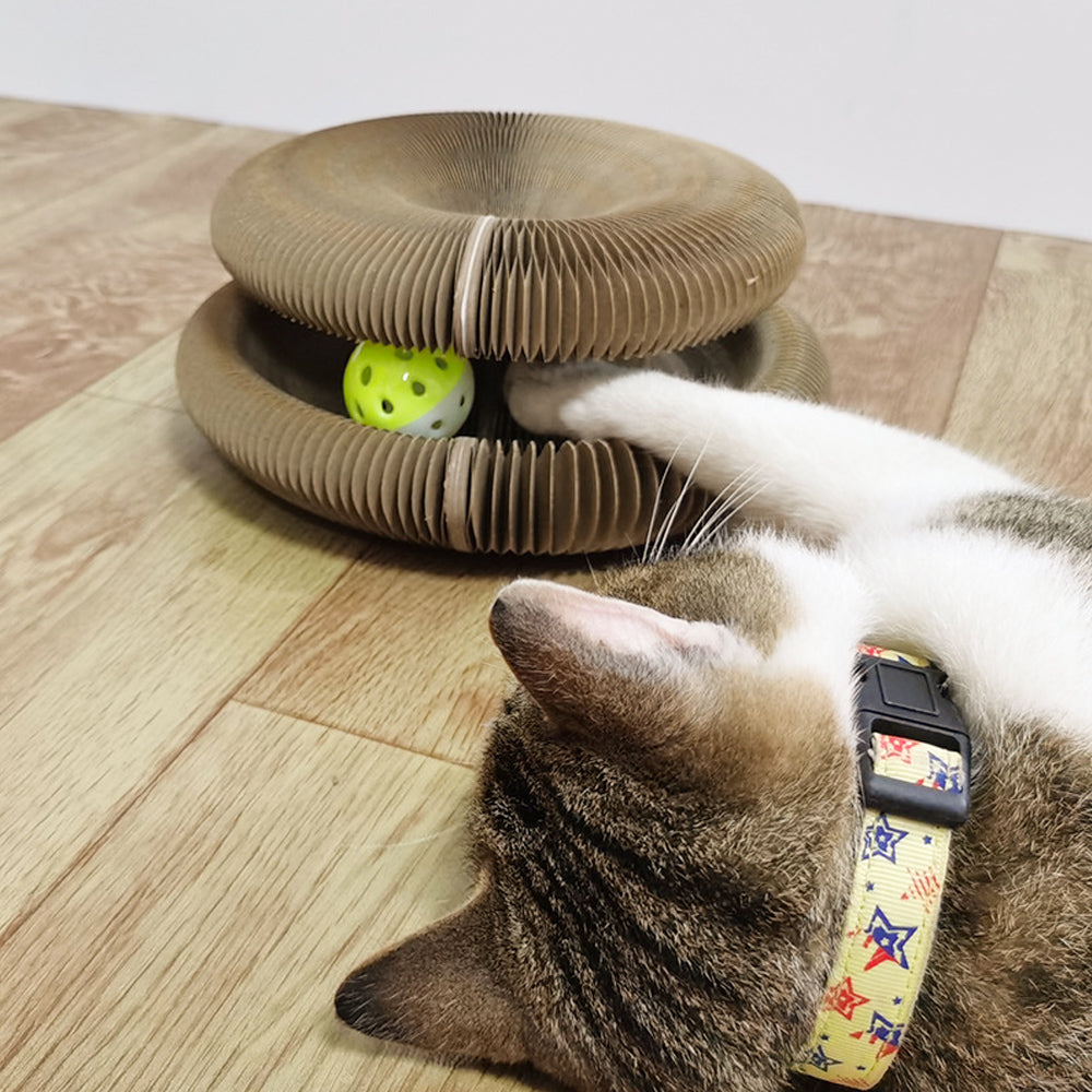 Foldable Cat Ball Track